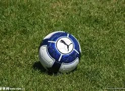 日足球赛事,预测,详析赛事及,大发彩票,大发彩票官方网站,大发快三彩票APP,实时开奖,知识竞猜