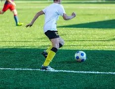 土壤重金属,含量预测系,与机器学习,大发彩票,大发彩票官方网站,大发快三彩票APP,实时开奖,知识竞猜