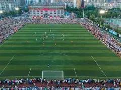 梦幻彩途,期双色球独,家复式,大发彩票,大发彩票官方网站,大发快三彩票APP,实时开奖,知识竞猜