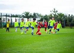 富甲团队,期彩票双色,球最准预测,大发彩票,大发彩票官方网站,大发快三彩票APP,实时开奖,知识竞猜