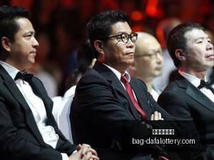 与国内公司,像素级蒸馏,对决,大发彩票官网,大发彩app下载,安全购彩,避坑要点,福彩中心