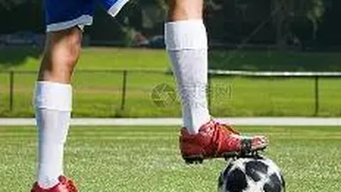 四川蓝树新材科技企业