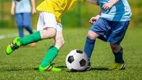 大发彩票官网 资讯 171507 h1z