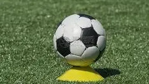 大发彩票官网 资讯 172247 nmy