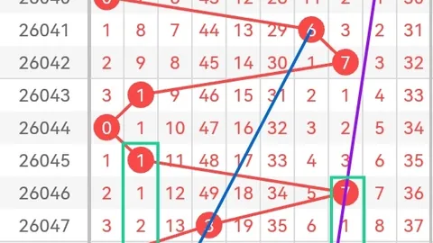 大乐透2026055期专家海滨推荐质合分析前区十码